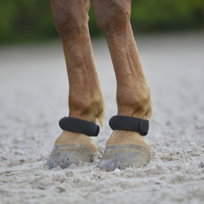 WALDHAUSEN Kroužky na spěnky černé – Zboží Mobilmania