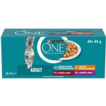 Purina ONE Adult hovězí jehněčí kuřecí mořské ryby 40 x 85 g – Hledejceny.cz