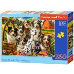 Castorland Šťastní psi Happy Dogs In The Countryside 260 dílků – Sleviste.cz