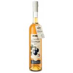 R. Jelínek Slivovice Vizovická zlatá 2018 50% 0,7 l (holá láhev) – Hledejceny.cz