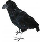Černý havran dekorace 35cm – Hledejceny.cz