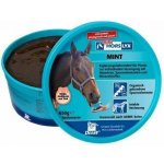 Horslyx Mint 0,65 kg – Zboží Dáma