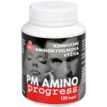 Purus Meda PM AMINOprogress 120 kapslí – Zbozi.Blesk.cz