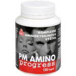 Purus Meda PM AMINOprogress 120 kapslí – Hledejceny.cz