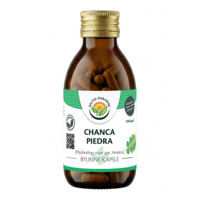 Salvia Paradise Chanca piedra 120 kapslí – Hledejceny.cz