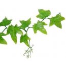 Lucky Reptile Ivy Vine 200 cm