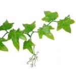 Lucky Reptile Ivy Vine 200 cm – Zbozi.Blesk.cz