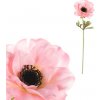 Květina Anemónka, světle růžová barva KUL005 PINK-LT