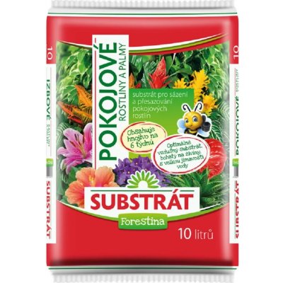 Forestina Standard Pokojové rostliny 10 l – Hledejceny.cz