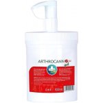 Annabis Arthrocann hřejivý gel z konopí s koloidním stříbrem 75 ml – Zboží Dáma Annabis Arthrocann hřejivý gel z konopí s koloidním stříbrem 75 ml – Zboží Dáma