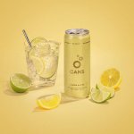 Cans Citron & Limetka 330 ml – Sleviste.cz