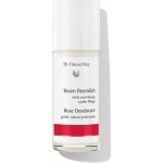 Dr. Hauschka Růžový deodorant roll-on 50 ml – Zbozi.Blesk.cz