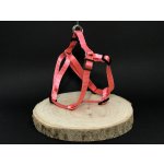 Palkar motýlek postroj pro psy – Zbozi.Blesk.cz