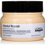 L'Oréal Expert Absolut Repair Gold Quinoa+Protein Golden Mask 250 ml – Zboží Mobilmania