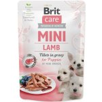 Brit Care Mini Lamb fillets in gravy 85 g – Zboží Mobilmania