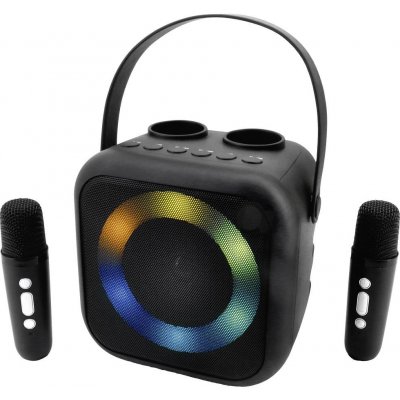 soundmaster BT2024SW karaoke vybavení včetně mikrofonu s akumulátorem – Sleviste.cz