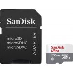 Sandisk SDXC UHS-I U1 256 GB SDSQUNR-256G-GN6TA – Zbozi.Blesk.cz