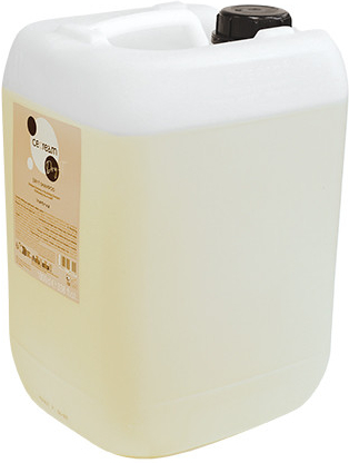 Inebrya Ice Cream Dry T Shampoo 10 l