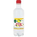 Zon citron 10 x 0,5 l – Zboží Dáma