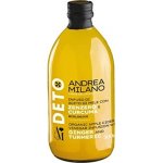 Acetificio Andrea Milano DETOX Bio jablečný ocet se zázvorem a kurkumou 500 ml – Zboží Dáma