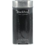 Ted Lapidus Black Soul toaletní voda pánská 100 ml – Hledejceny.cz