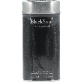 Ted Lapidus Black Soul toaletní voda pánská 100 ml