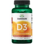 Swanson Vitamín D3 1000 iu Cholekalciferol 250 kapslí – Hledejceny.cz