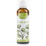 Serafin Gotukola tinktura z bylin 50 ml – Hledejceny.cz