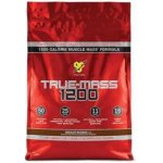 BSN True Mass 1200 4800 g – Zboží Dáma