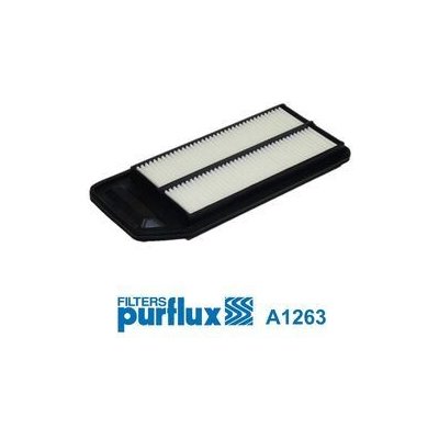Vzduchový filtr PURFLUX A1263 – Hledejceny.cz