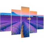 Obraz - Levandulové pole, pětidílný 150x105 cm – Hledejceny.cz
