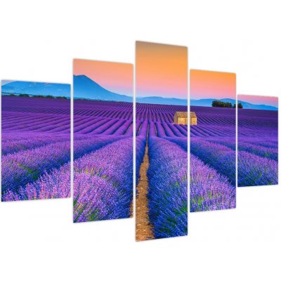 Obraz - Levandulové pole, pětidílný 150x105 cm – Hledejceny.cz