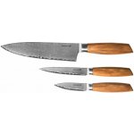 Gourmet Damascus Sada nožů G21 small box 3 ks rukojeť zebrawood 6002231 – Zboží Mobilmania