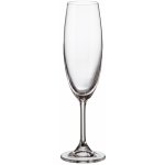 Crystalite Bohemia Sklenice Sylvia na sekt šampaňské 220 ml – Sleviste.cz