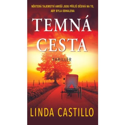 Temná cesta - Linda Castillo – Zboží Mobilmania