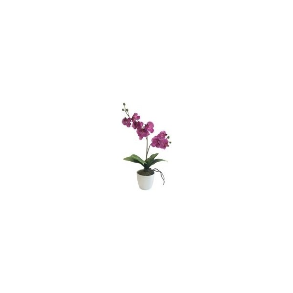 Květina Orchidej 65cm x2 pink (bez květináče) - Gasper