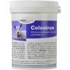 Krmivo pro ostatní zvířata Trouw Nutrition Biofaktory FOS Colostrum 100 g