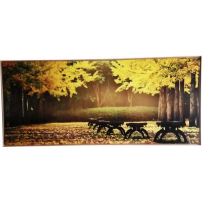 Obraz v rámu SHADOW 59x134 cm Trees Yellow – Hledejceny.cz