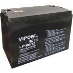 VIPOW 12V 100Ah – Zboží Mobilmania