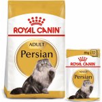 Royal Canin ADULT Persian granule 10 kg – Zboží Mobilmania