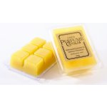 Czech Perfume Candle Aroma vosk Vanilková Dobrota 65 g – Hledejceny.cz