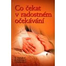 Co čekat v radostném očekávání 3.vyd. (Murkoffová,Eisenbergová,Hathawayová)