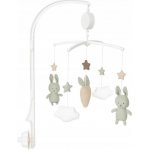 Jabadabado Kolotoč hrací skříňka s rukojetí zelený králík – Hledejceny.cz