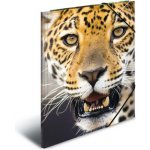 Deska s gumičkou PP A4 Leopard 447597 – Zboží Živě