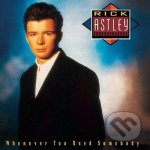 Rick Astley - WHENEVER YOU NEED SOMEBODY 2 CD – Hledejceny.cz