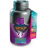 Altervet Cartilan Base K2+D3 100 tbl – Hledejceny.cz