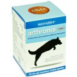 Arthronis fáze 1 Mini 60 tbl – Hledejceny.cz