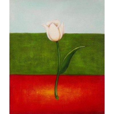 Italský tulipán - 60 x 50 cm – Zboží Mobilmania