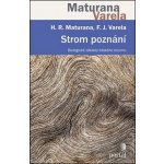 Strom poznání – Hledejceny.cz