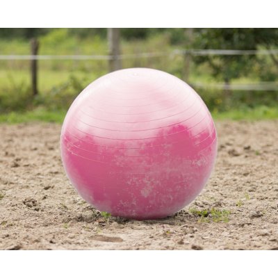 QHP Míč na hraníhorse football 80 100 cm pink – Hledejceny.cz